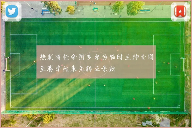 热刺将任命图多尔为临时主帅合同至赛季结束无转正条款