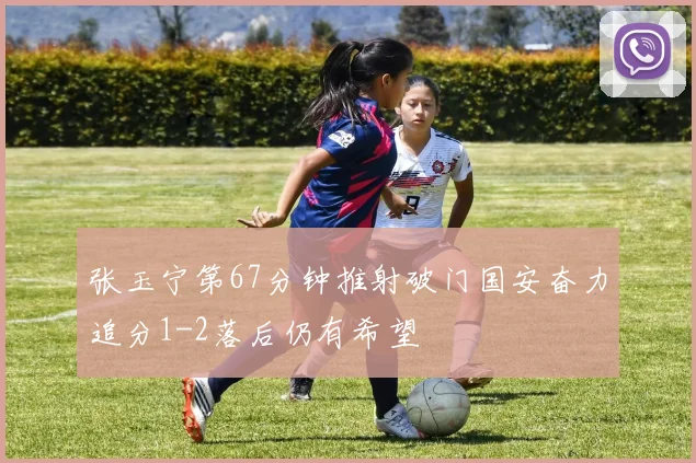 张玉宁第67分钟推射破门国安奋力追分1-2落后仍有希望