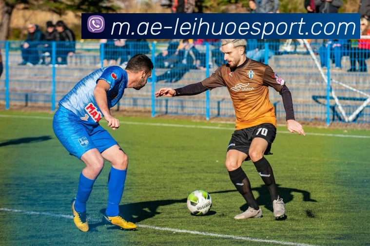 雷火电竞平台生态图